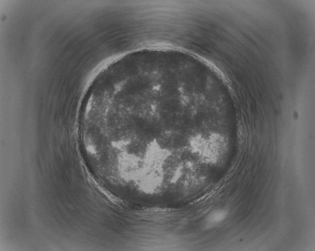 X0000081601327200702121539