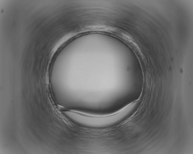 X0000081601328200702121539