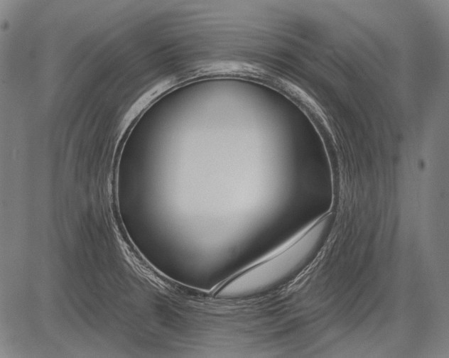 X0000081601330200702121539