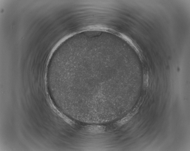 X0000081601331200702121539