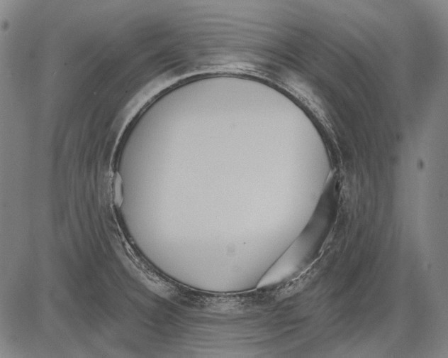 X0000081601332200702121539