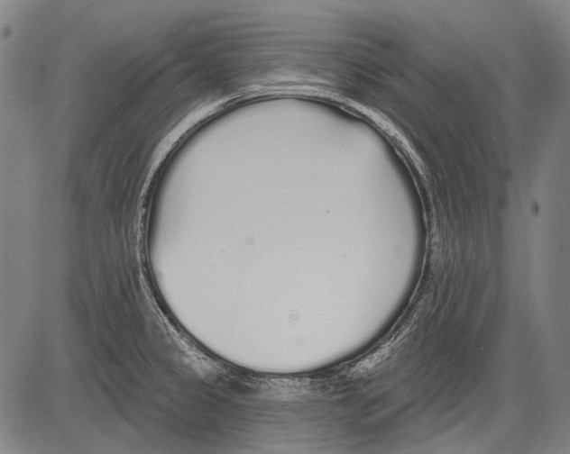 X0000081601333200702121539