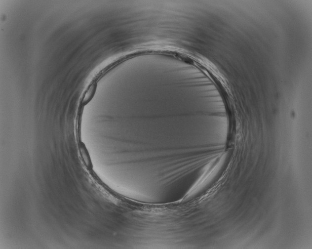 X0000081601334200702121539