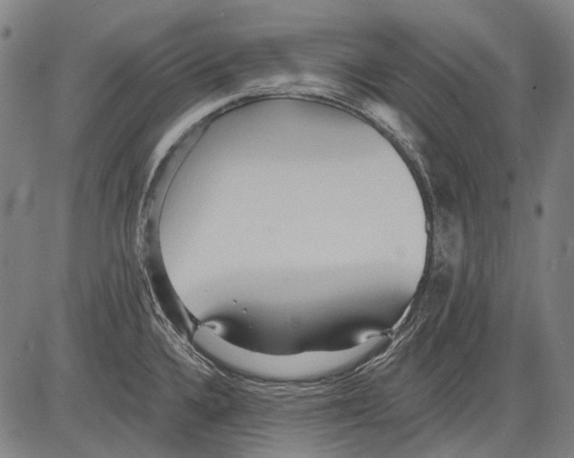 X0000081601336200702121539