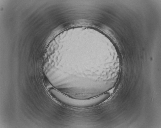 X0000081601337200702121539