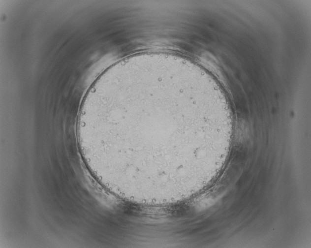 X0000081601338200702121539