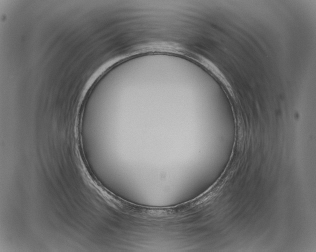 X0000081601339200702121539