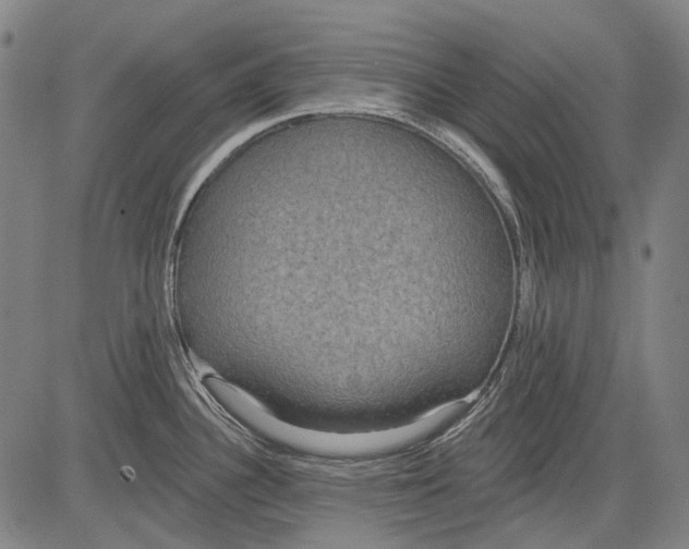 X0000081601340200702121539