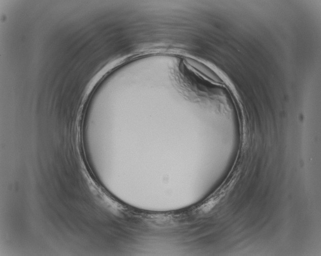 X0000081601341200702121539