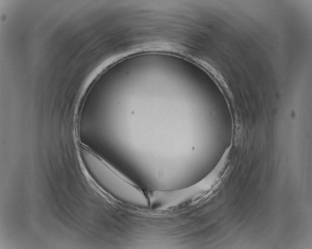 X0000081601342200702121539