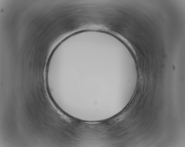 X0000081601343200702121539