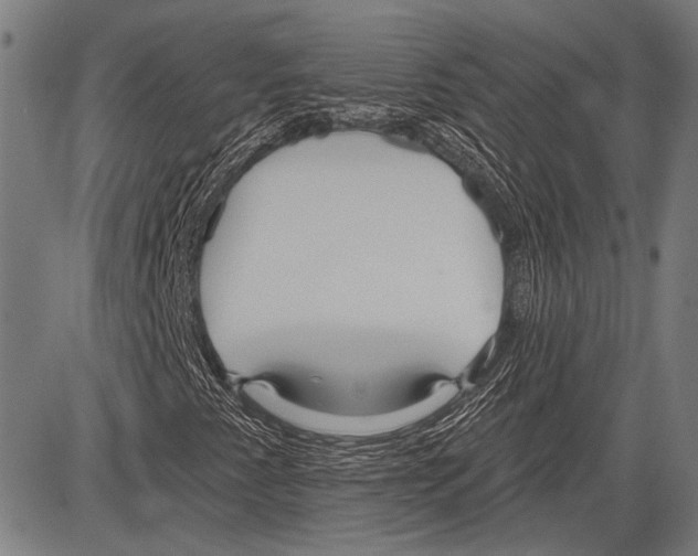 X0000081601345200702121539