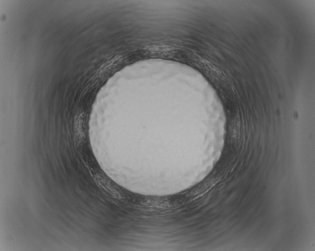 X0000081601346200702121539