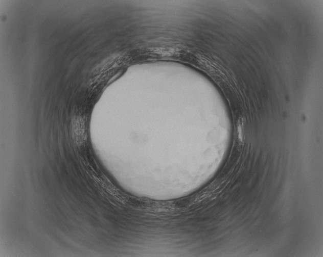 X0000081601347200702121539