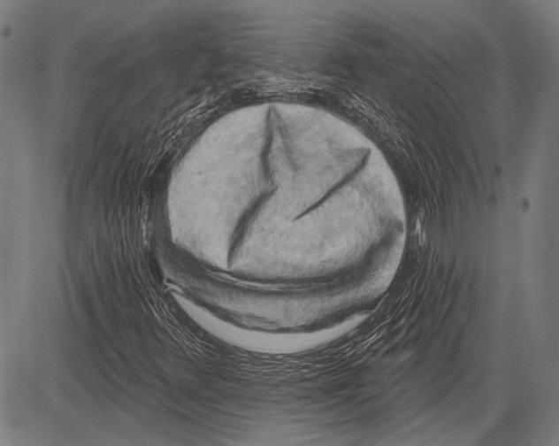 X0000081601348200702121539