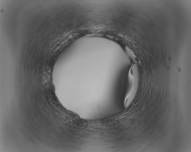 X0000081601349200702121539