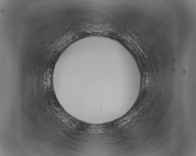 X0000081601350200702121539