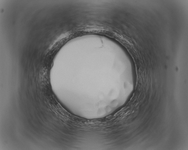 X0000081601351200702121539