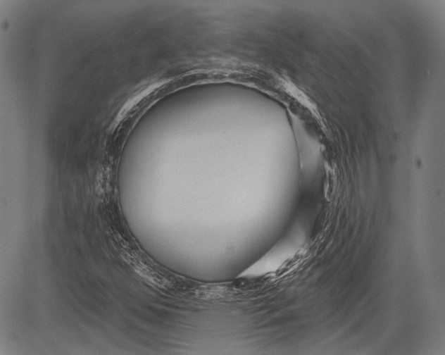 X0000081601352200702121539