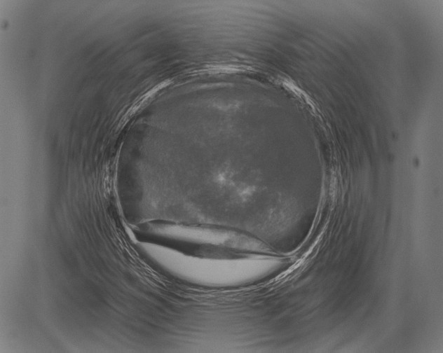 X0000081601353200702121539