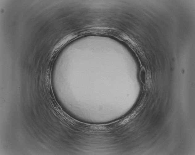 X0000081601354200702121539