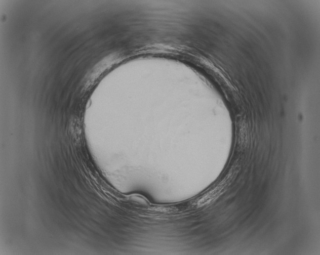 X0000081601355200702121539