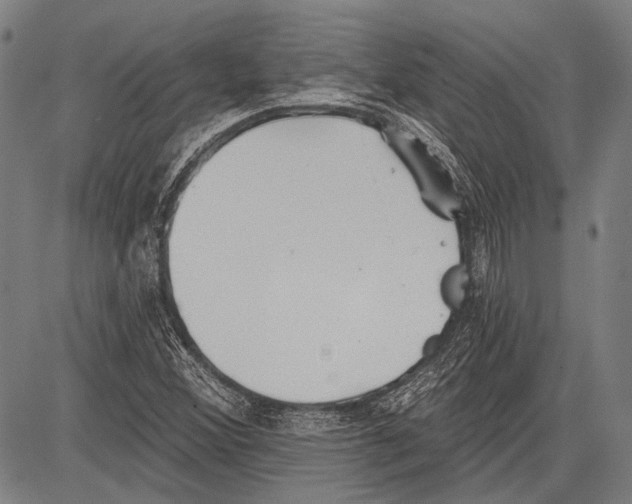 X0000081601356200702121539