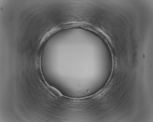 X0000081601357200702121538