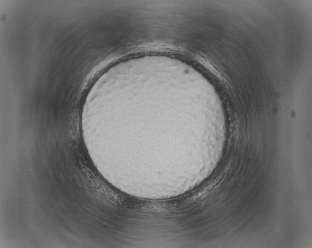 X0000081601358200702121538