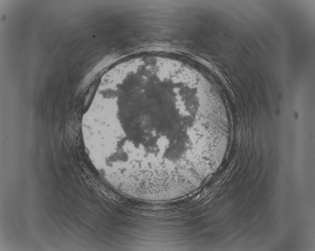 X0000081601359200702121538