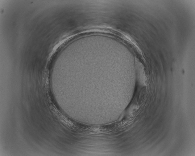 X0000081601360200702121538