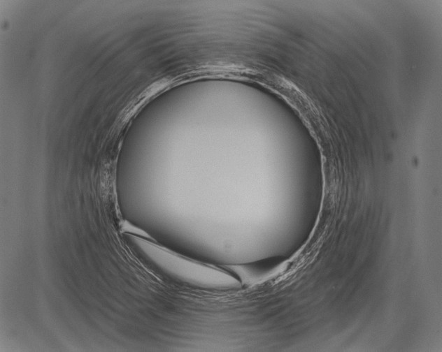 X0000081601361200702121538