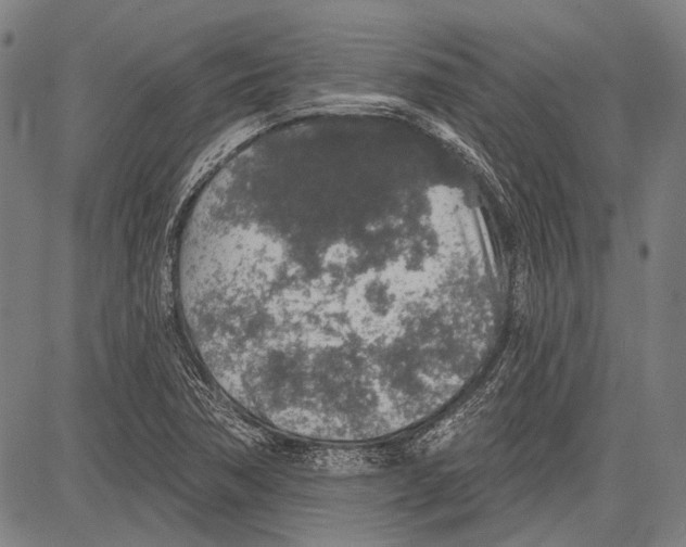 X0000081601362200702121538