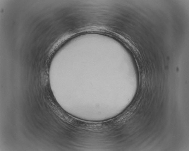 X0000081601363200702121538