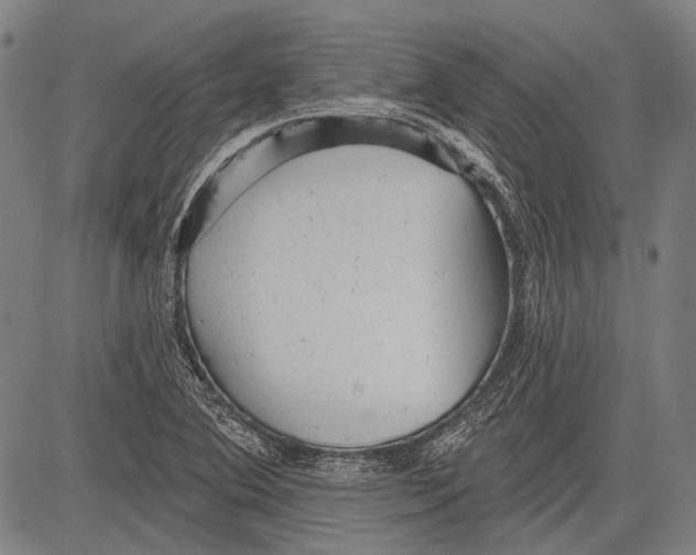 X0000081601364200702121538