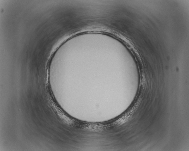 X0000081601366200702121538