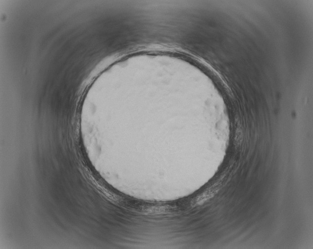 X0000081601367200702121538