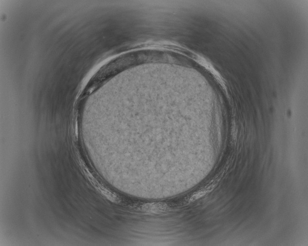 X0000081601368200702121538