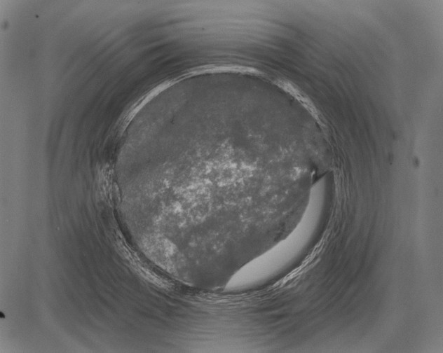 X0000081601369200702121538