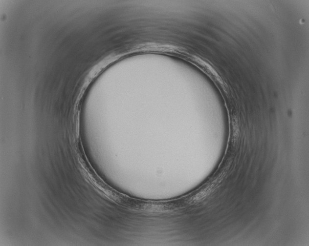 X0000081601371200702121538