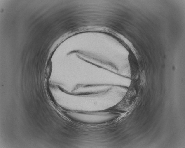 X0000081601373200702121538