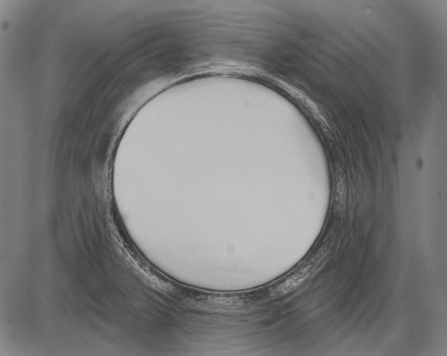 X0000081601375200702121538