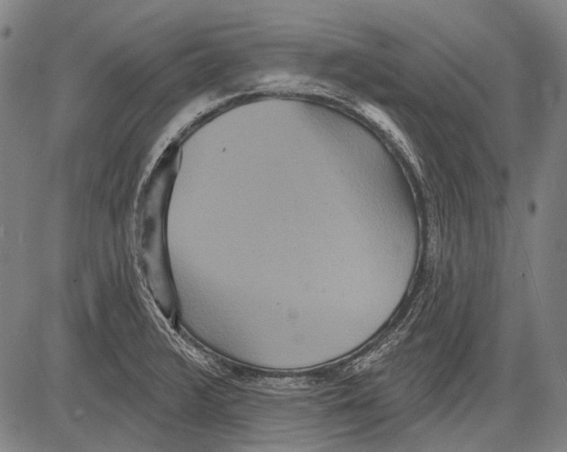 X0000081601376200702121538