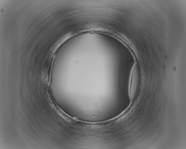 X0000081601377200702121538