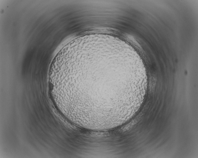 X0000081601378200702121538