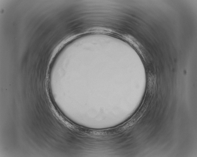 X0000081601379200702121538