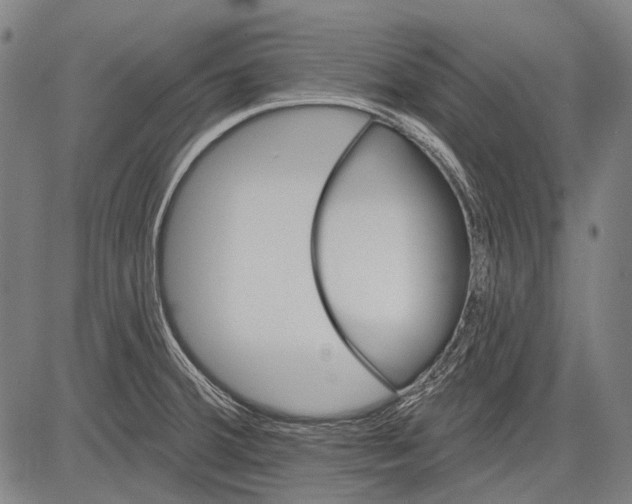 X0000081601380200702121538