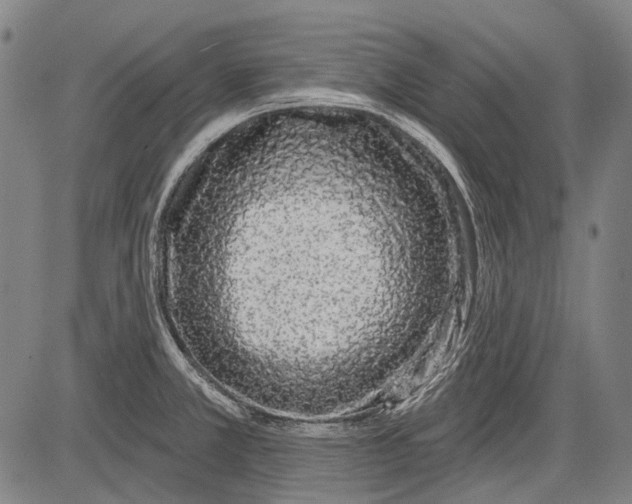 X0000081601381200702121538