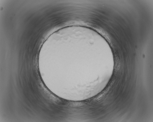 X0000081601382200702121538