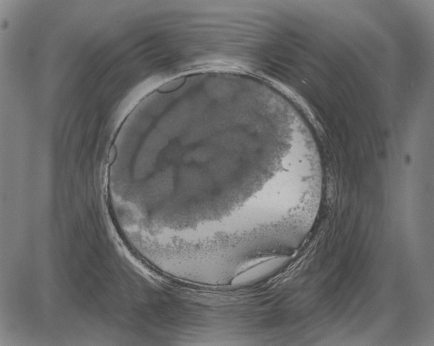 X0000081601383200702121538